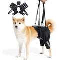 Rear-support lift harness for senior dogs