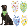 Soft cotton dog bandana for senior dogs